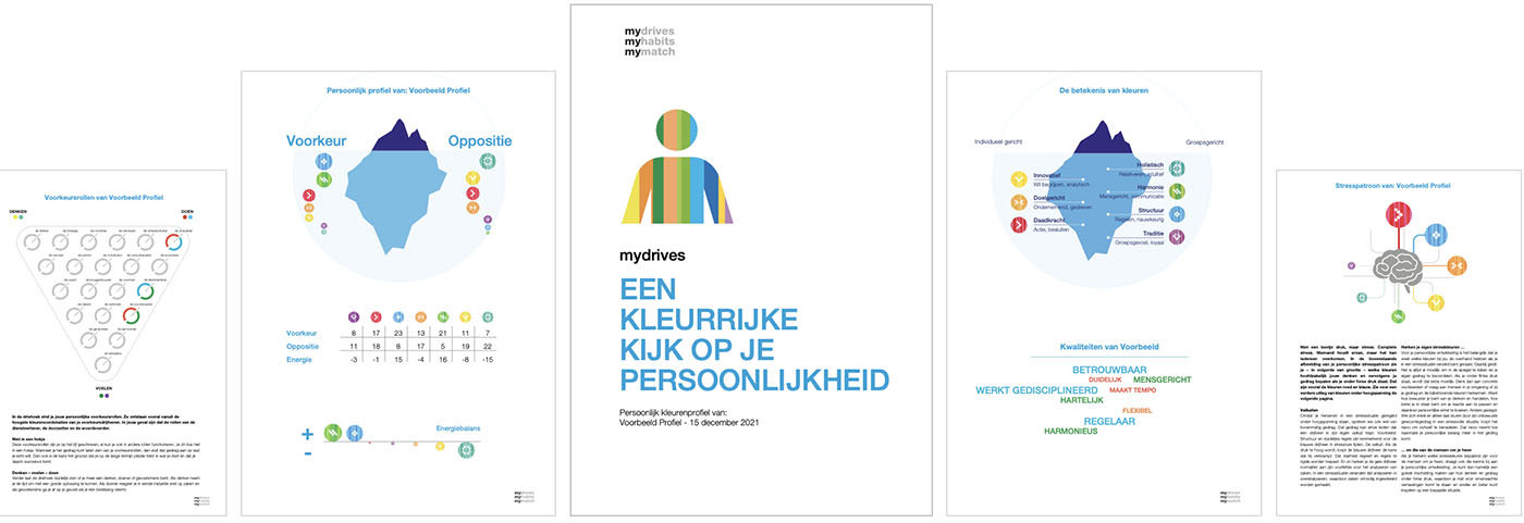 MyDrives-rapport voor talentmanagement
