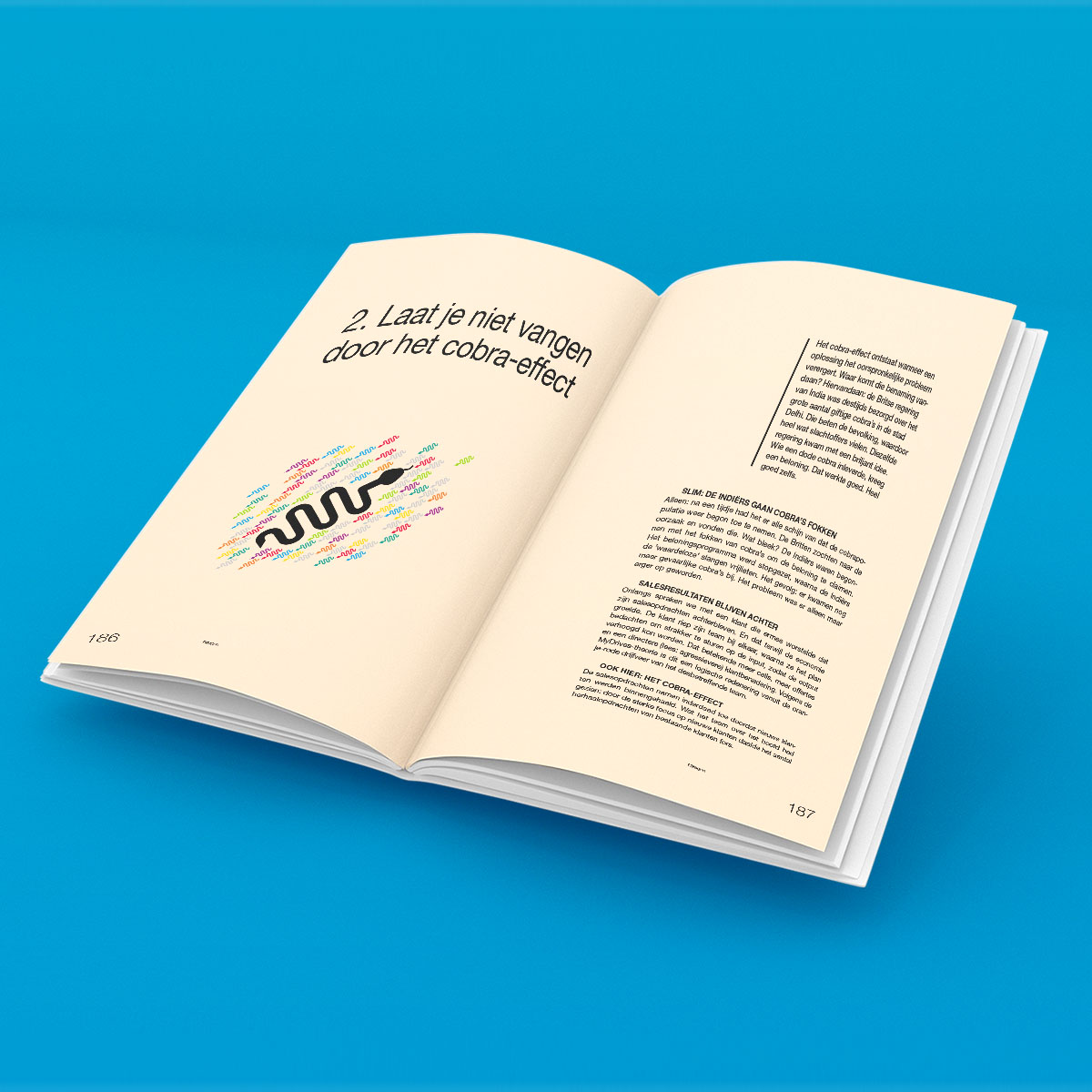 Voorbeeldpagina uit het managementboek over leiderschap en ontwikkeling