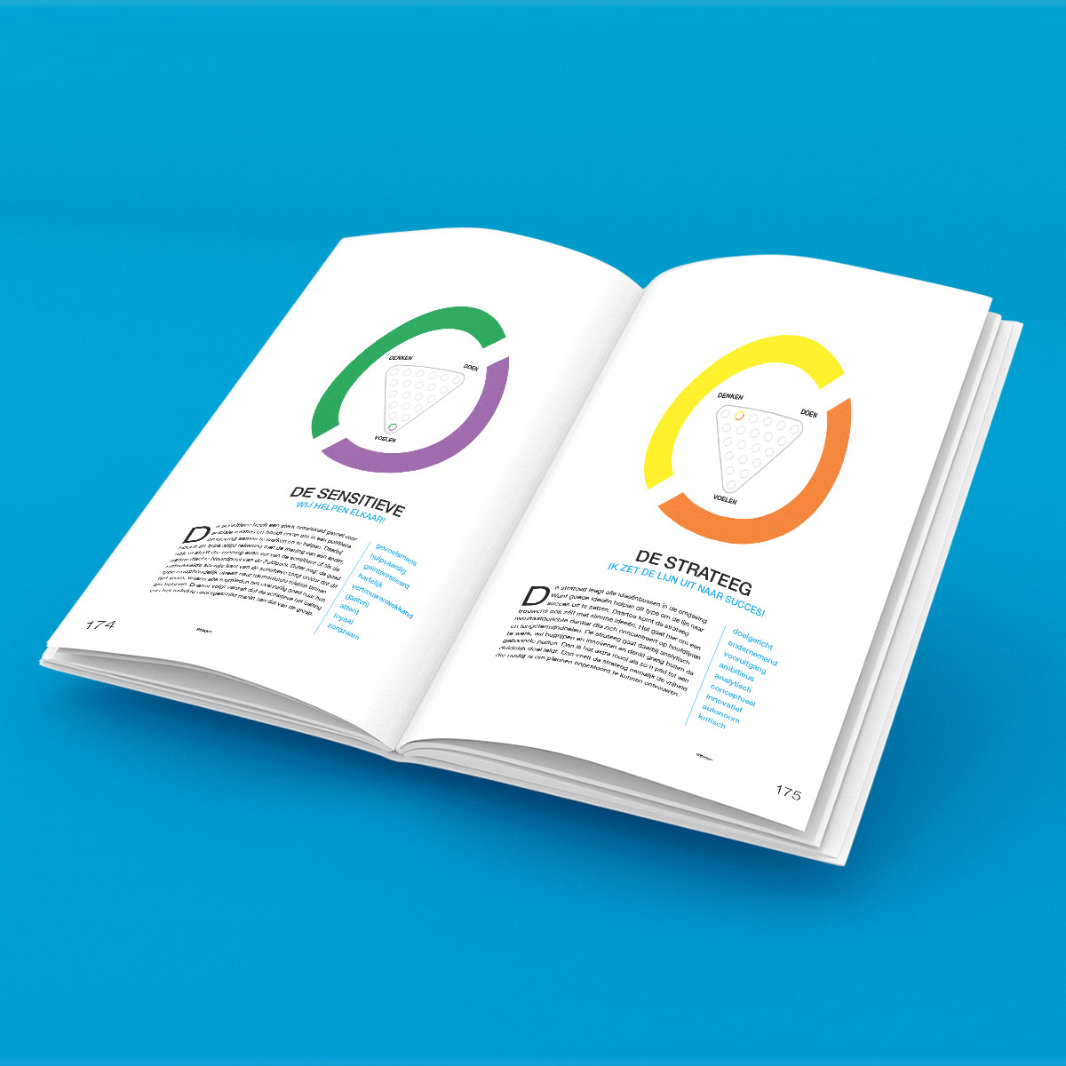 Voorbeeldpagina uit het managementboek met de zevenkleurentheorie